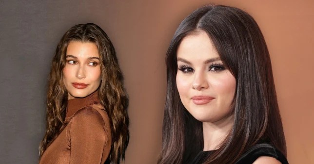 Selena Gomez Begs Followers To Cease Sending Demise Threats To Hailey Bieber