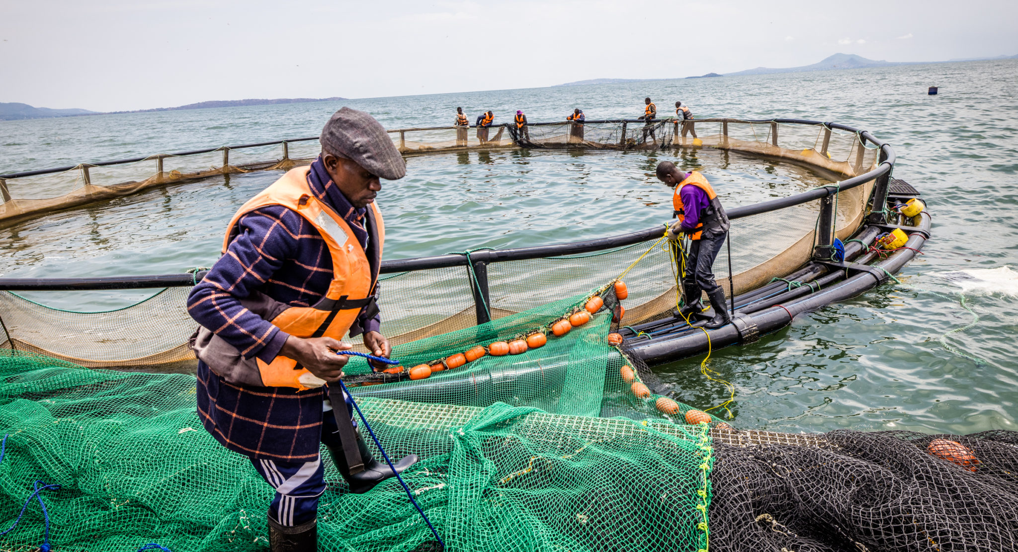 Kenyan agritech Victory Farms raises $35 million Collection B