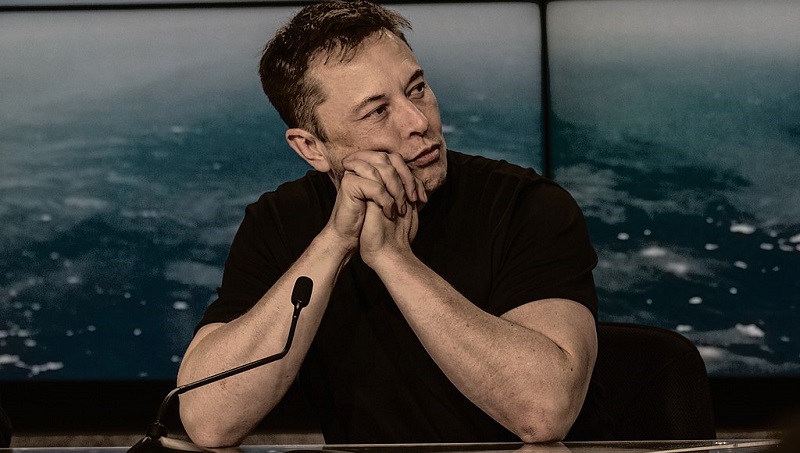 “Life or demise”: Climate-watchers warn in opposition to Elon Musk’s Twitter adjustments