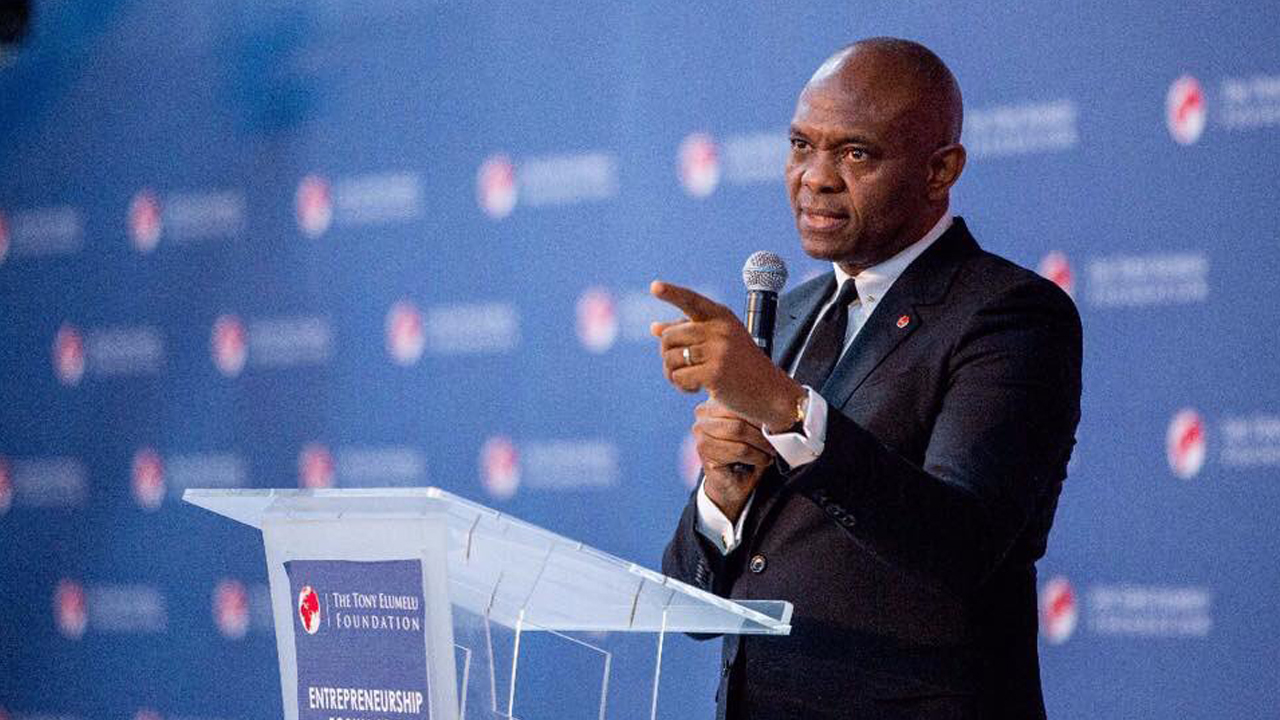 Tony Elumelu To Spin off Transcorp Energy in 5 Years