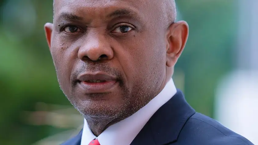 Tony Elumelu: Issues to Find out about His Possession of Transcorp 