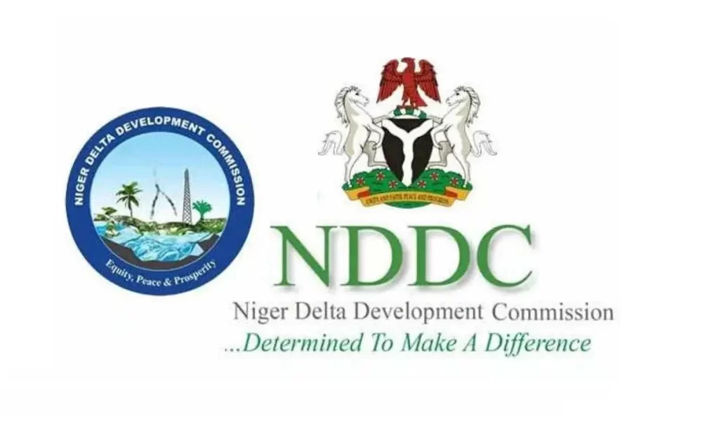 Senate probes NDDC over N1.4trn unlawful spending