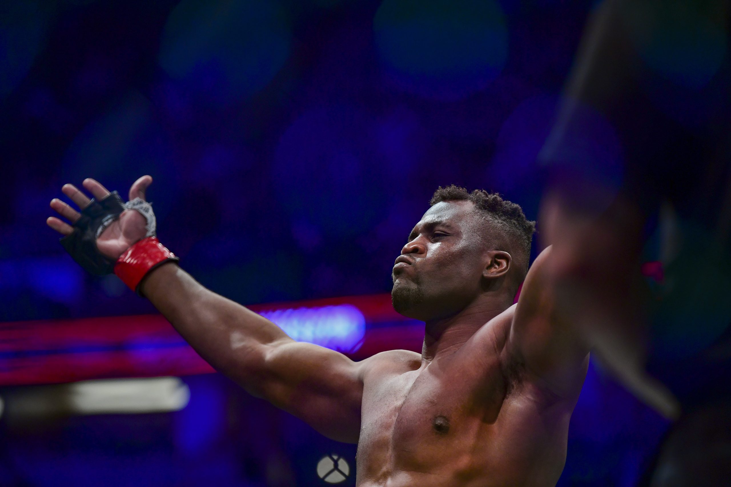 Francis Ngannou indicators take care of PFL, which incorporates flexibility to field and management position