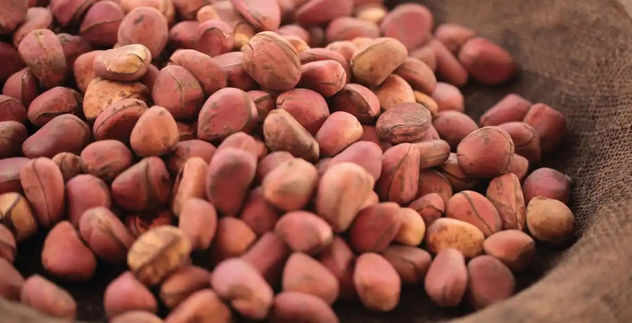 Results Of Kola Nuts On Folks With Prostate Most cancers