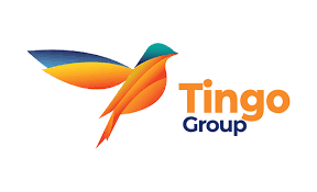 Shortseller Hindenburg Analysis calls Tingo Group an exceptionally apparent rip-off