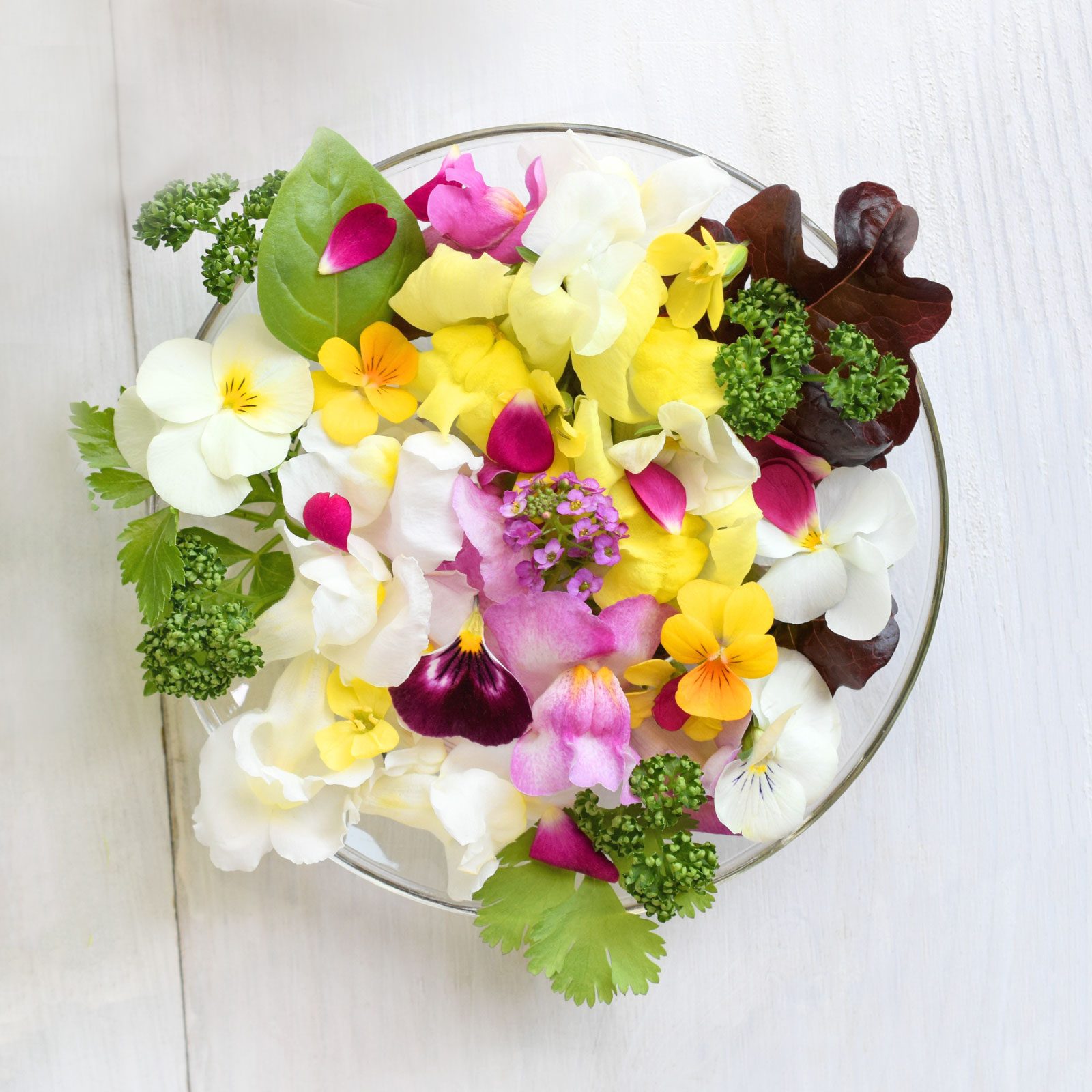12 Edible Flowers That Are Our New Favourite Garnish for Every thing