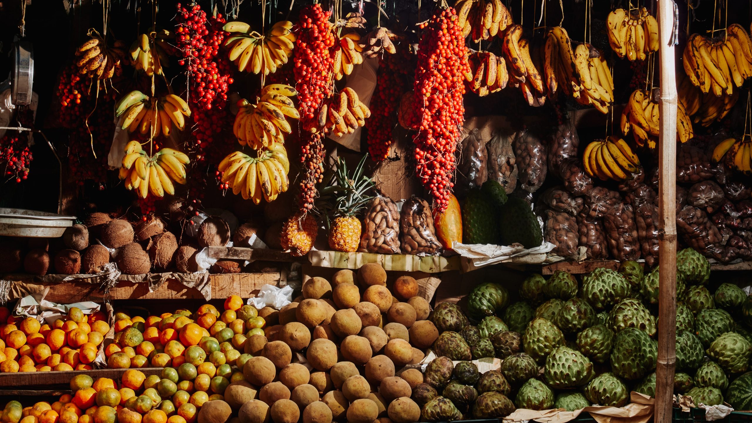 The Finest Roadside Dishes to Gasoline a Journey By means of Antioquia, Colombia
