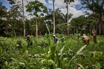 Preserving biodiversity, well being and setting