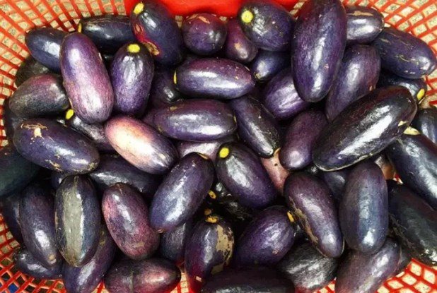 9 Potent Advantages Of Nigerian Pear (Ube)
