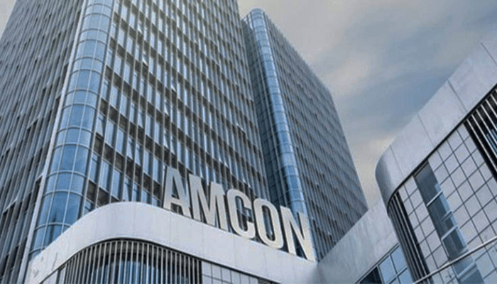 Transitioning AMCON – the selection between winding down and privatization