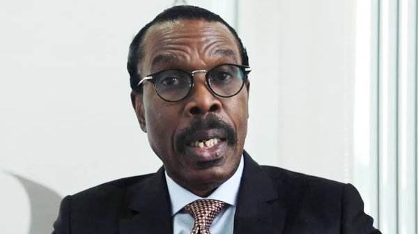Nigerians bothered about rising meals costs, not price range — Rewane
