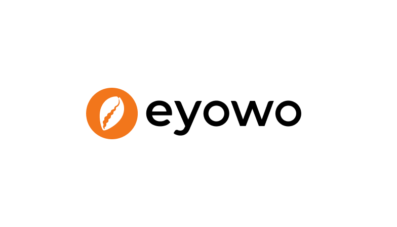 Eyowo stalls resumption of banking providers once more