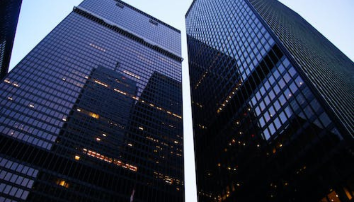 FG in talks with multinationals to curb exits