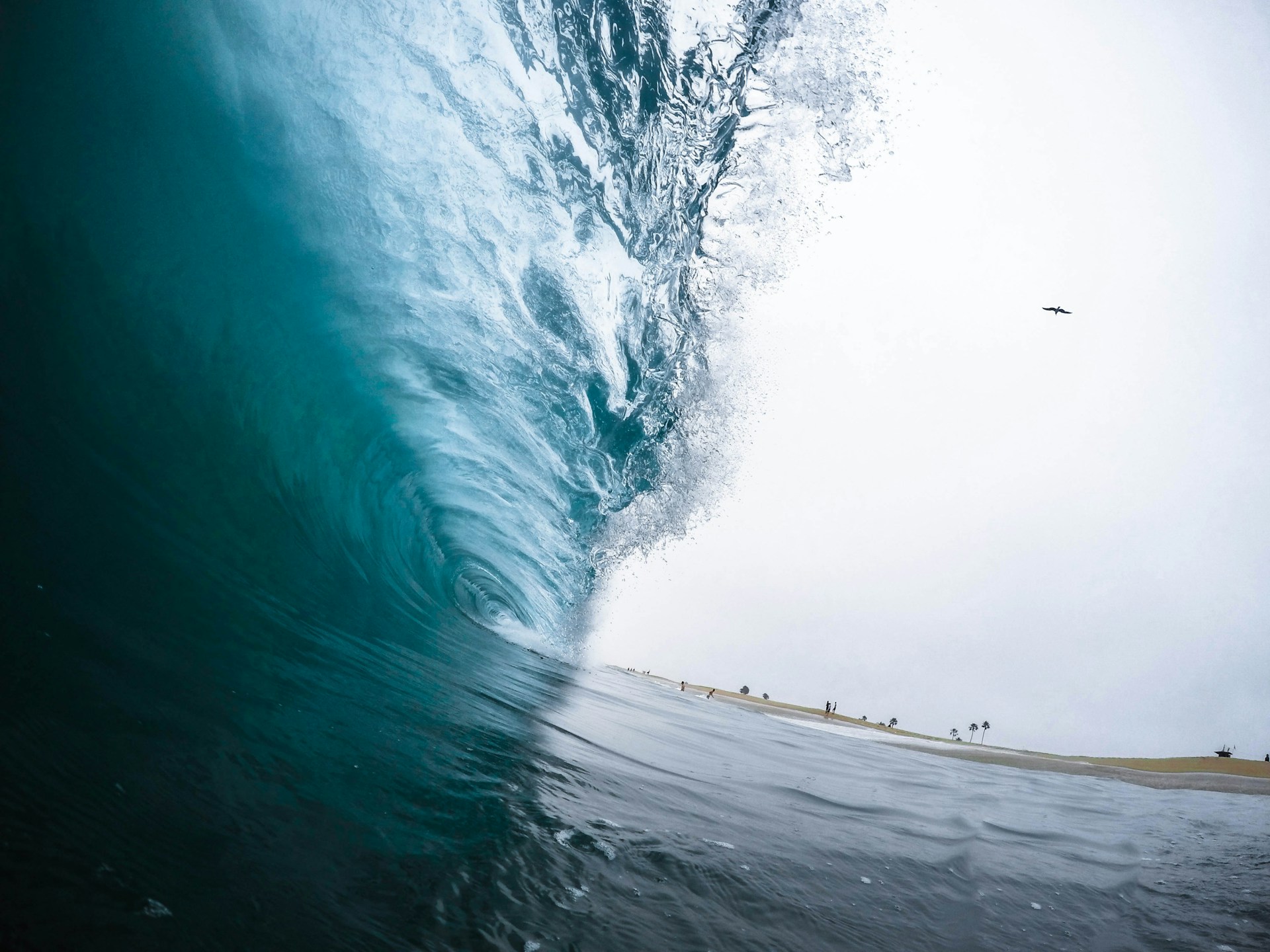 Subsequent Wave: Tides, tsunamis and a slow-motion return to arduous issues