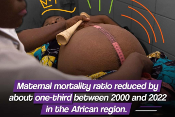 Addressing Excessive Maternal Mortality and New child Deaths in Lesotho