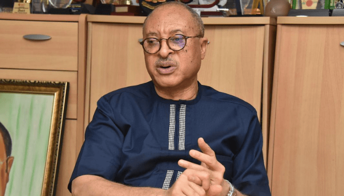 Residing past grit: How embers of hope for Nigeria nonetheless flicker in my soul