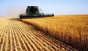 Russia-Ukraine Battle: Wheat Import to Africa Hits $20b