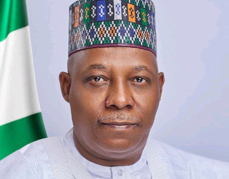 South-East to get extra energy provide as Shettima flags off new initiative