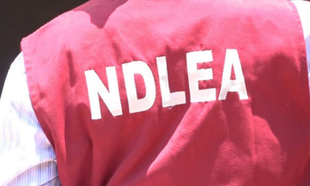 breaking-over-14-million-onerous-drug-customers-are-in-nigeria-ndlea.png BREAKING: Over 14 Million Onerous Drug Customers Are In Nigeria – NDLEA