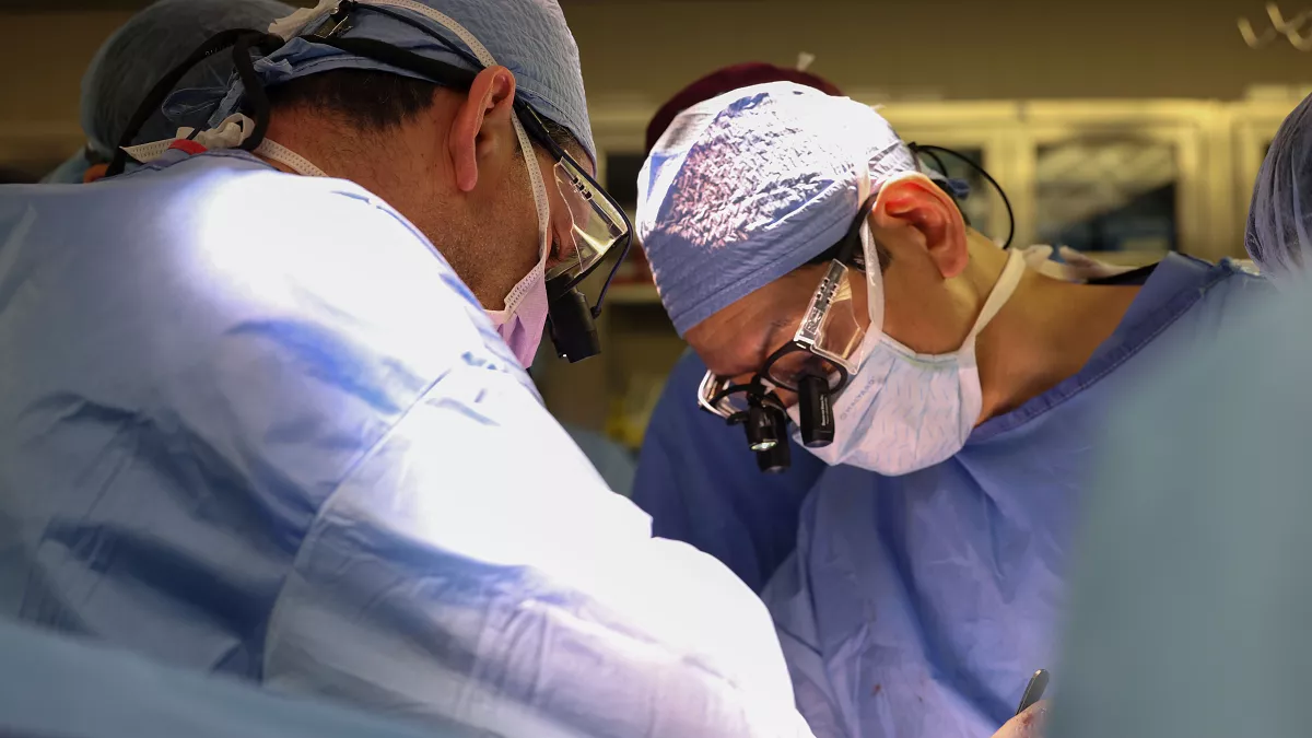 US Surgeons Conduct First Kidney Transplant from Pig to Human