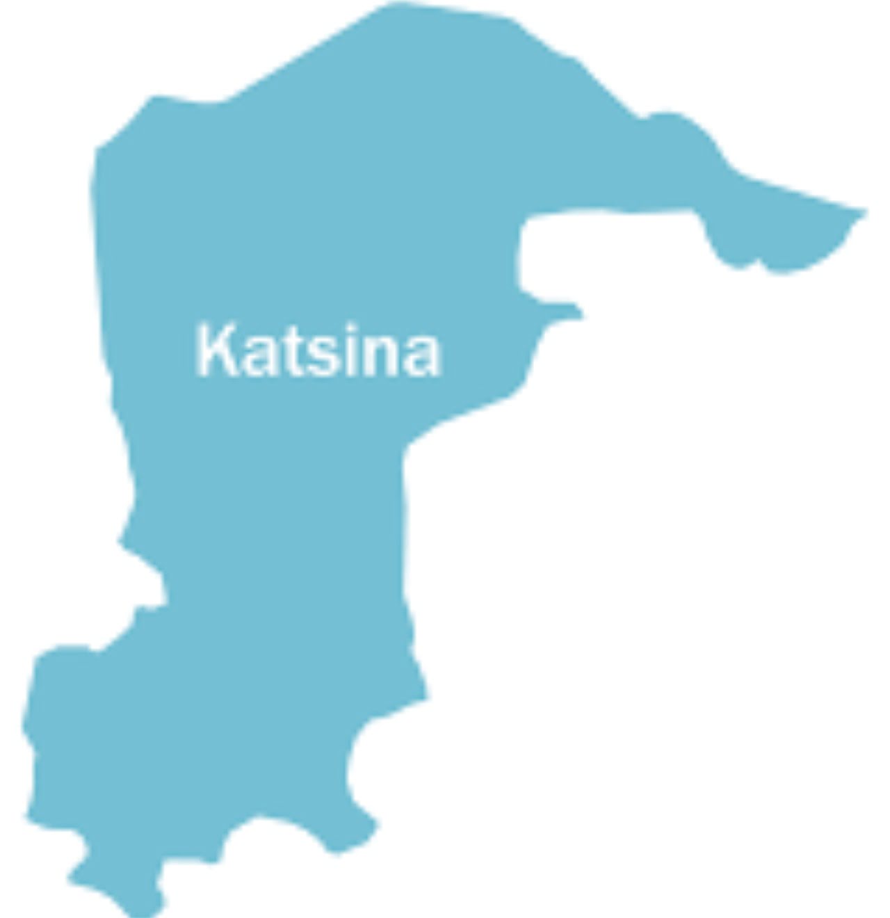 Katsina: LGA chairman cries for assist as bandits overrun Faskari communities