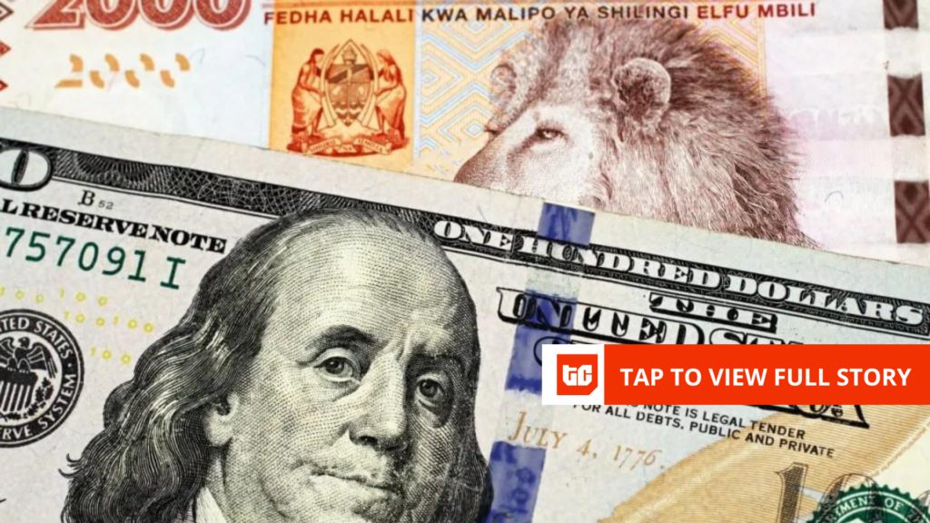 Tanzania will promote US {dollars} to industrial banks to handle international forex shortages