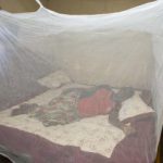 Defending households towards malaria utilizing Lengthy-Lasting Insecticide Nets