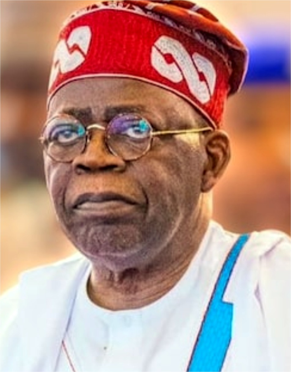 Why The Financial system Will Enhance Below TINUBU