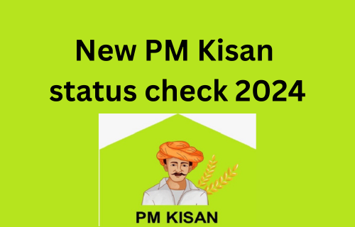 New PM Kisan standing examine 2024