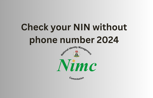 Examine your NIN with out telephone quantity 2024