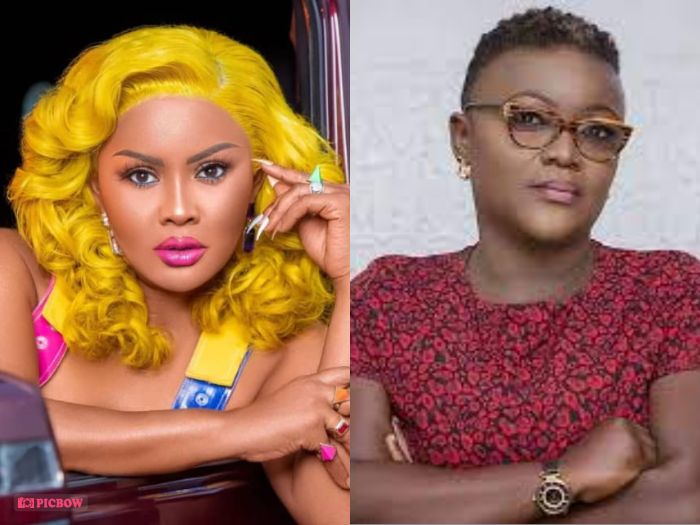 A few of Us Are Nonetheless Struggling – Nana Yaa Brefo Fires Again at McBrown’s Assertion that No One Over 40 Ought to Beg