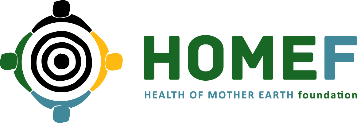 HOMEF: Unchecked Mineral Extraction Will Trigger Ecological Injury To Nigeria