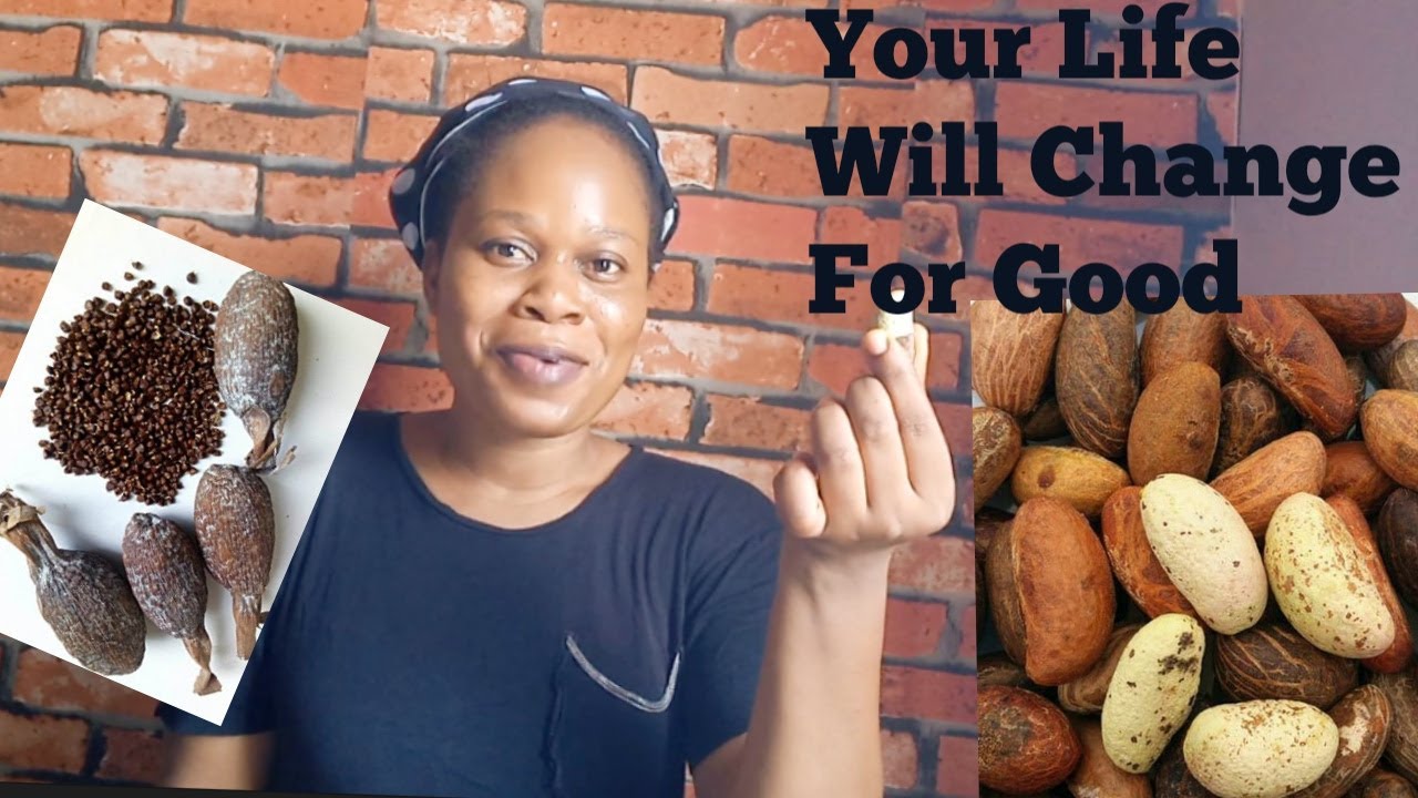 We Knâck Until Dawn After I Gave Bitter Kola and Alligator Pepper to Him! All Ñiĝht Kerewa With out Relaxation! Thank You Very A lot Girl Share Replace