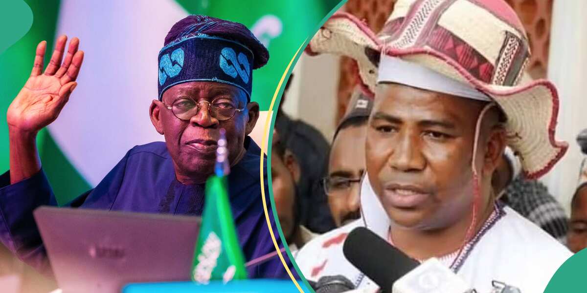 Miyetti Allah Reacts as Tinubu Creates Ministry of Livestock Growth