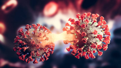 FLiRT Covid variant: What we all know in regards to the new coronavirus pressure