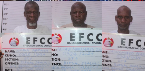 Court docket jails three unlawful BDC operators in Borno