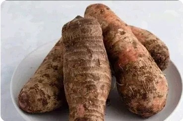 Well being Issues You By no means Knew Cocoyam May Handle Or Stop