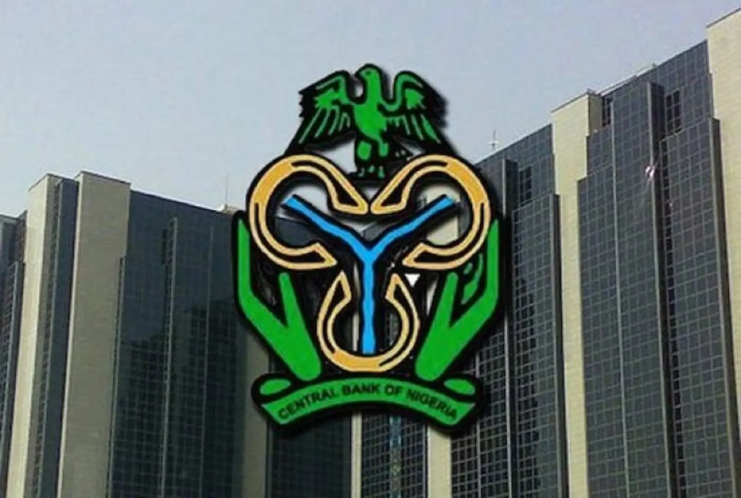 Nigeria Sees Big Bounce in International Funding in 2024-CBN