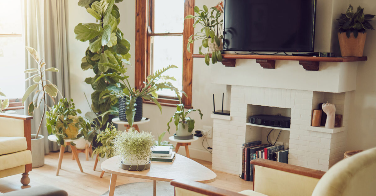 sustainable-summer-season-adorning.jpg Sustainable Summer season Adorning