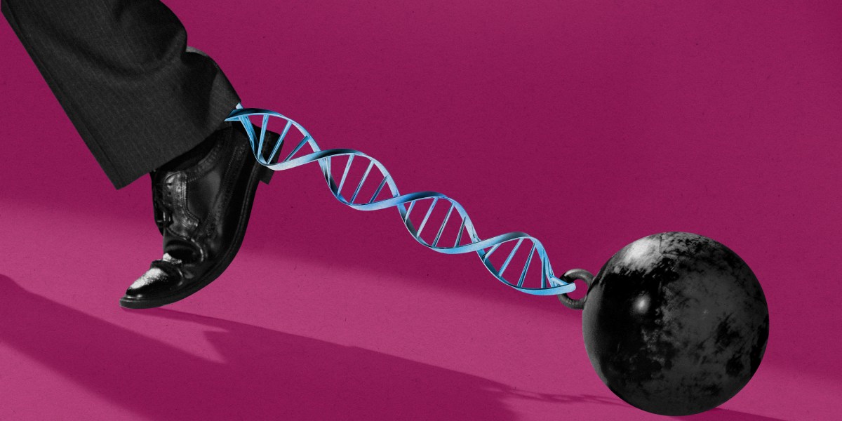 Why we want safeguards towards genetic discrimination