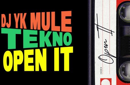 DJ YK Mule x Tekno – Open It (Official Audio)