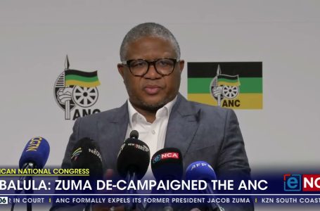 Mbalula says Zuma de-campaigned the ANC