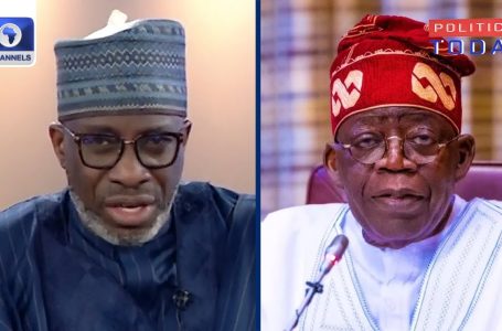 Deliberate Protest:  Tinubu Got here With Restricted Expertise, Wants PDP’s Assist – Sowunmi