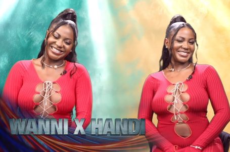 Who’s who? It’s Wanni x Handi! – BBNaija | Large Brother: No unfastened guard | Africa Magic