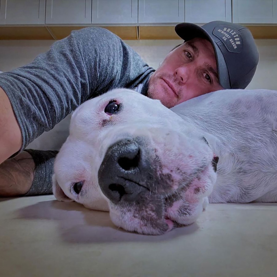 josh-corridor-breaks-silence-on-christina-corridor-divorce.jpg Josh Corridor Breaks Silence on Christina Corridor Divorce