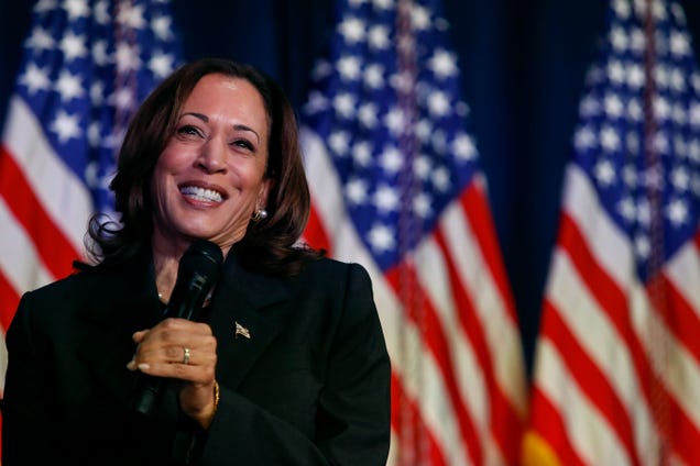 How Kamala Harris’s potential operating mates examine on vitality, tech, and labor