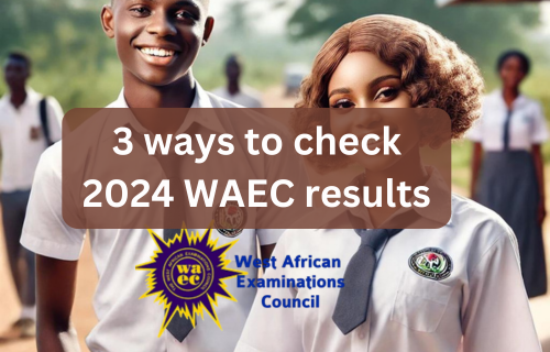 verify WAEC outcomes 2024 utilizing a telephone