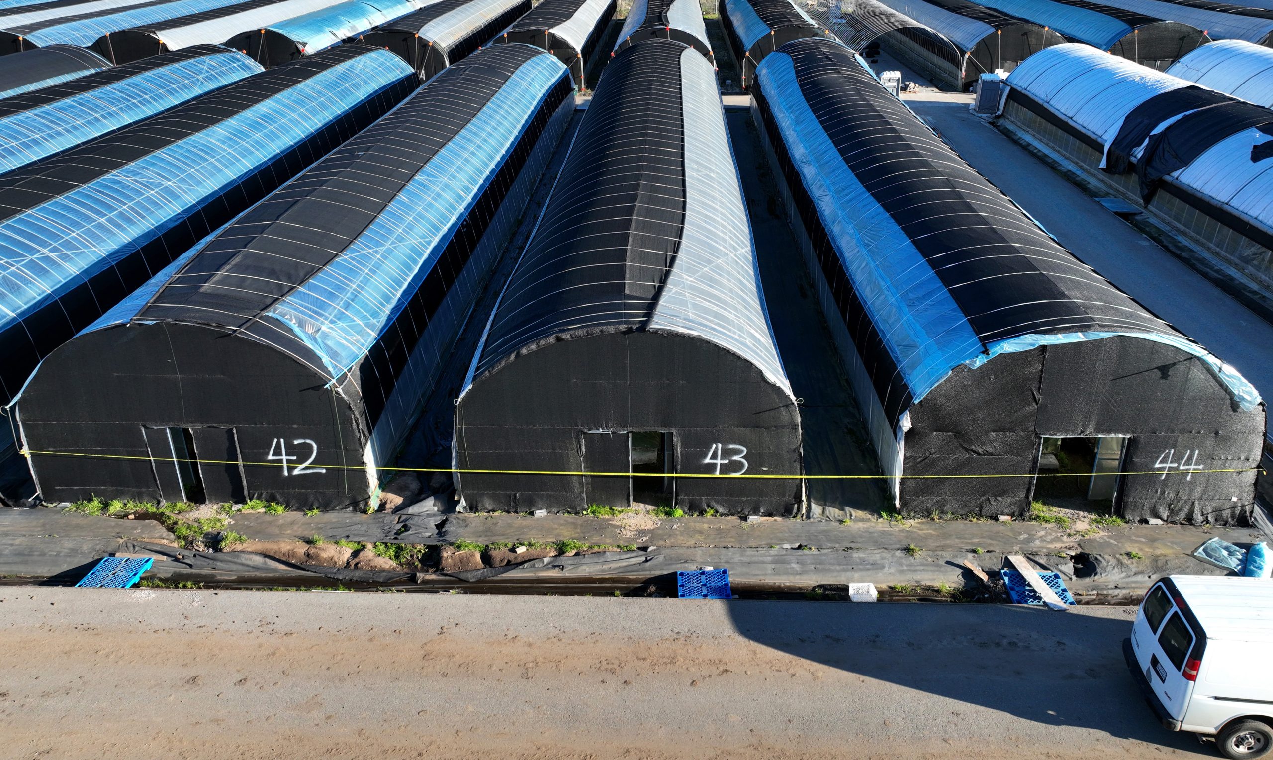 Former Mushroom Farm Worker Faces Felony Prices for Threatening Coworkers and Vandalism