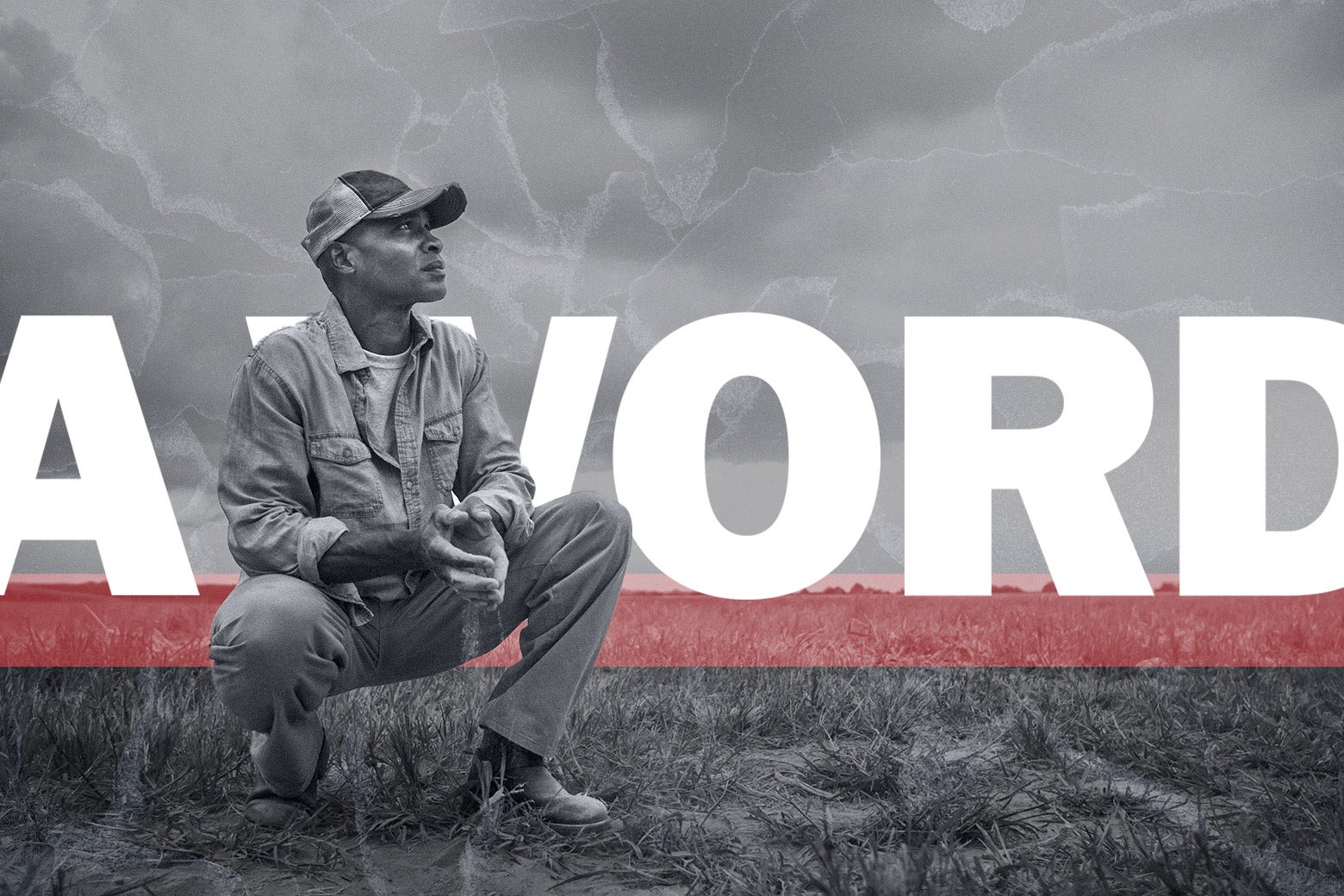 Countering JD Vance’s “Disgraceful, Deplorable” Jab at Black Farmers