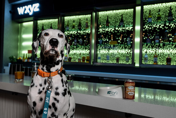 Aloft Motels Presents Working Canine Free (Canine) Brew This Worldwide Canine Day